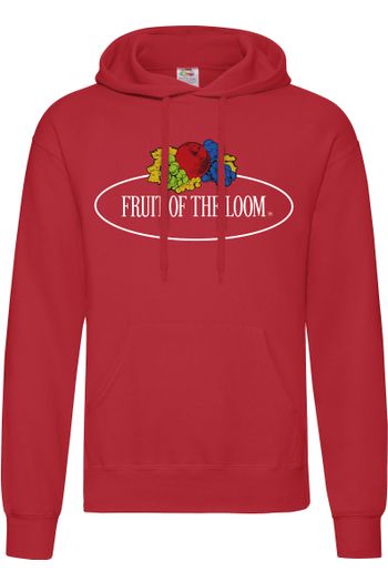 Image produit Vintage Hooded Sweat Classic Large Logo Print