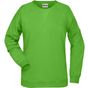 James&Nicholson Ladies´ Sweat lime_green