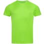 Stedman Sports-T kiwi_green