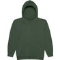 AWDis Just Hoods Kids Hoodie bottle_green