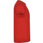 Roly Braco rouge