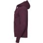 Russell Authentic Sweat capuche homme burgundy