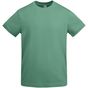 Roly Veza dark_mint