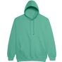 AWDis Just Hoods College Hoodie spring_green