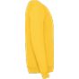 fruit of the loom Kids Classic Raglan Sweat sunflower