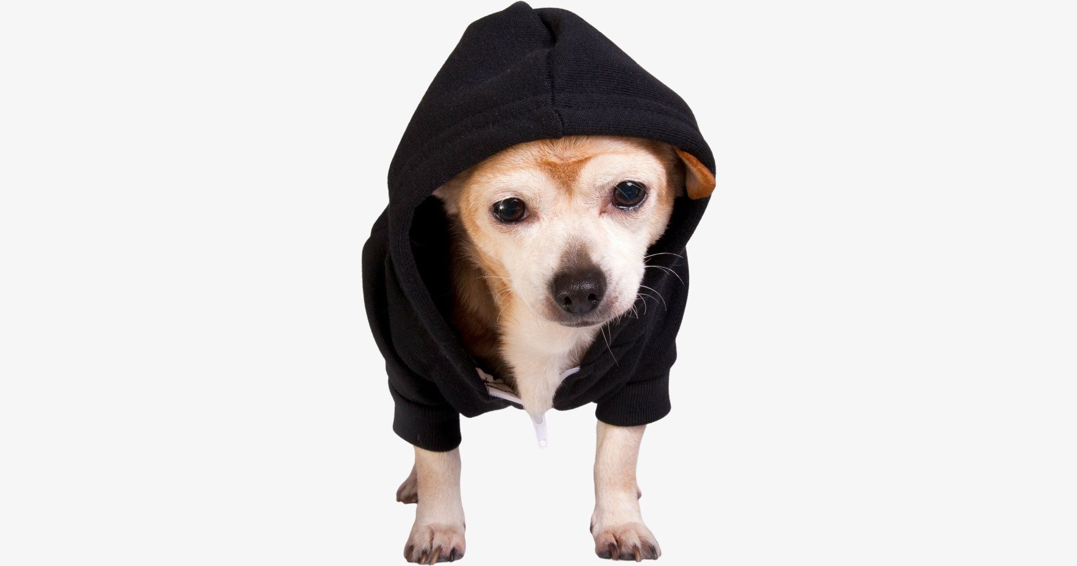 Sweat American apparel F997 Flex fleece dog zip hoodie