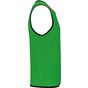 ProAct Chasuble de rugby réversible sporty_royal_blue/green