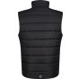 Regatta Men's Navigate Thermal Gilet black/new_royal