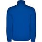 Roly Antartida bleu_royal