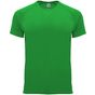 Roly Sport Bahrain vert_fougere