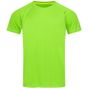 Stedman Active 140 Raglan kiwi_green
