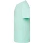 JHK Regular Premium T-shirt mint_green
