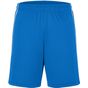 James&Nicholson Basic Team Shorts royal/white