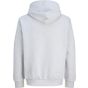Jack & Jones Blanks Vibe Hood white_melange