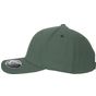 flexfit Hybrid Cap green