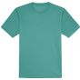 awdis just cool Cool T turquoise_blue