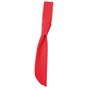 CG Workwear Short Tie Siena red
