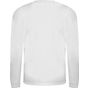 Awdis just ts Triblend T long sleeve solid_white