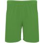 Roly Sport Dortmund vert_fougere