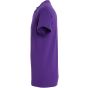 Sol's Imperial violet_fonce