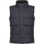 Regatta Men's Northdale Insulated Gilet navy