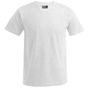 Promodoro Men´s Premium-T ash