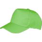Result Boston Printers Cap lime