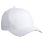 Myrtle Beach Original Flexfit® Cap white