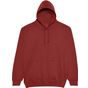 AWDis Just Hoods College Hoodie brick_red