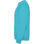 Roly Clasica turquoise