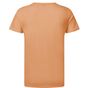 SG Signature Signature Tagless Tee Men cantaloupe