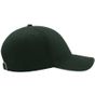 Atlantis Liberty Sandwich Cap forest_green/white