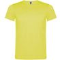 Roly Akita jaune_fluo
