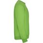 Roly Clasica vert_oasis