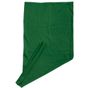 Myrtle Beach Economic X-Tube dark_green