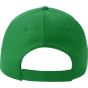 Atlantis RECY FIVE PIPING green/white
