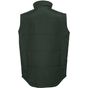 Russell Workwear Gilet bottle_green