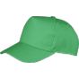 Result Boston Printers Cap apple_green