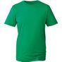 Anthem T-shirt homme Anthem kelly_green