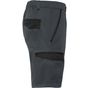 Roly WRK Tahoe plomb/noir