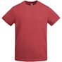 Roly Veza rouge_chrysantheme