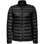 Sol's Wilson Women noir
