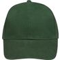 Sol's Buffalo vert_bouteille