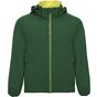 Roly Siberia vert_bouteille