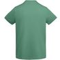 Roly Veza dark_mint