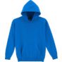 Gildan Heavy Blend Youth Hooded Sweat royal