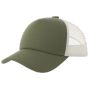 Atlantis RECORD-S olive