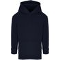 Sol's Condor Kids french_marine