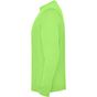 Roly Extreme vert_oasis