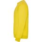 Roly Clasica jaune